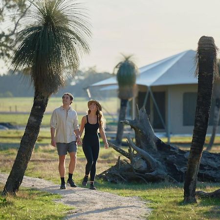 Willow Wood Glamping Retreat Broadwater Bagian luar foto