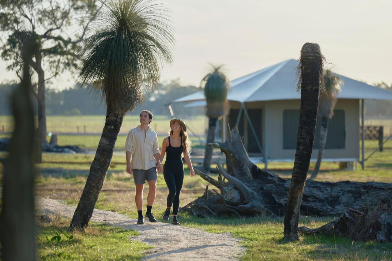 Willow Wood Glamping Retreat Broadwater Bagian luar foto