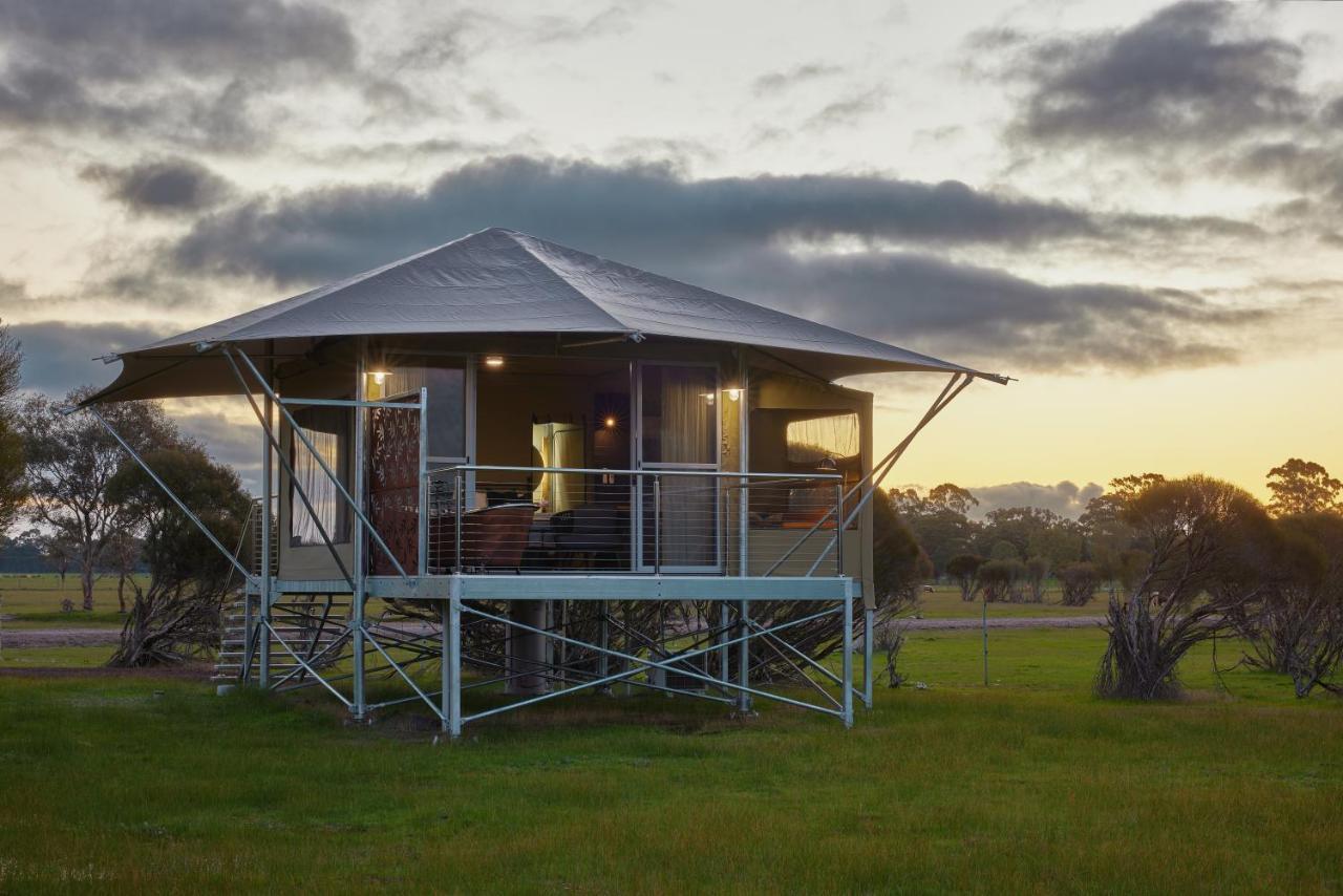 Willow Wood Glamping Retreat Broadwater Bagian luar foto